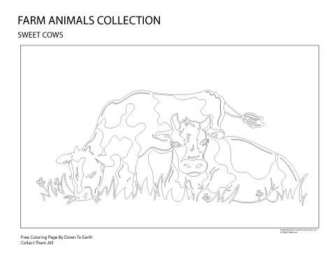 Free Download- Calming Coloring page Cows