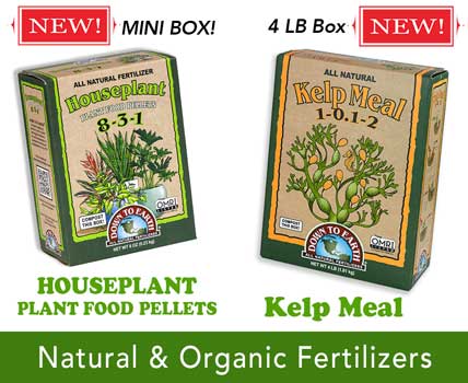 Houseplant Plant Food and Kelp Meal 2024