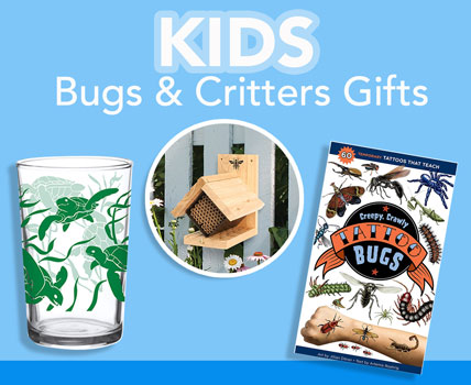 wholesale kids books bug homes and critters stickers