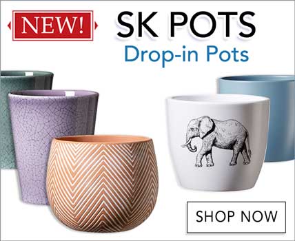 SK Indoor Pots and Drop-in pots Just Arrived!