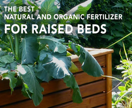 Garden How-to: Best organic fertilizer for raised beds