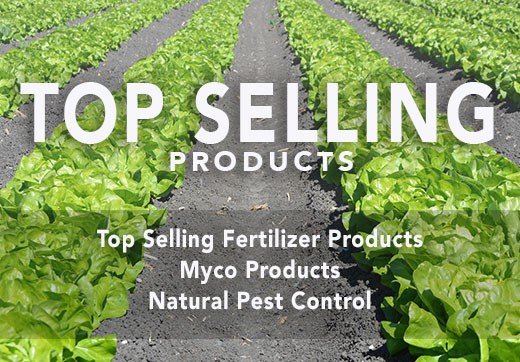 Top Selling Organic Fertilizer-usa-2021