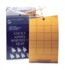 Sticky Whitefly Trap Pk5