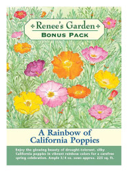 Rg California Poppies Bonus Pk - Poppy Seeds 