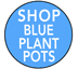 Blue Plant Pots - Wholesale Garden Supplies 2024