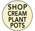 Cream colored Plant Pots