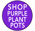 PLANT POT - PURPLE pots - Wholesale Garden Supplies 2024