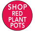 Plant Pot - Red Pot - Red Planter - wholesale garden Supplies