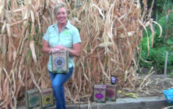 The Best Way to Grow Garlic -Video by Ali's Garden Supply Utah