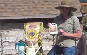 How to use Liquid Fertilizer by Ali's garden Supply in Utah