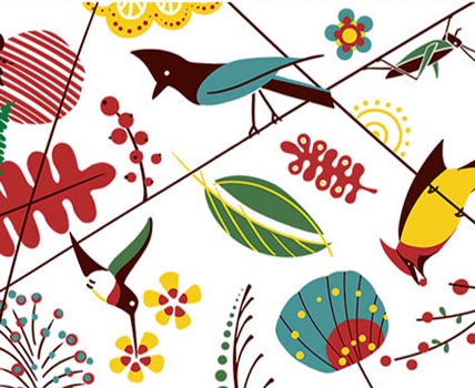 Bird Collection - Shop!