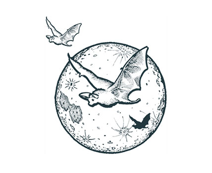 Bat Design - Bat Collection