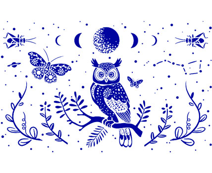 Owl collection - Shop!