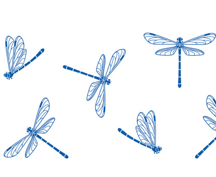 wholesale apparel accessories -Dragonfly Collection - Shop!