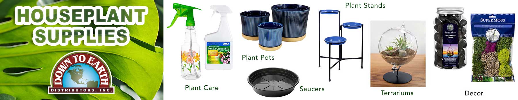 Wholesale Houseplant Supplies
