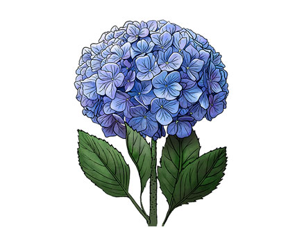 Wholesale apparel accessories - Hydrangea Collection - Shop!