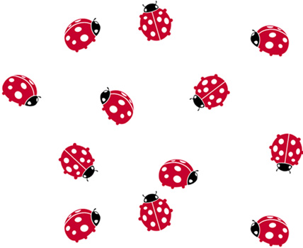 Lady Bug Collection! - Kitchen Towels, Tote Bags, Glassware