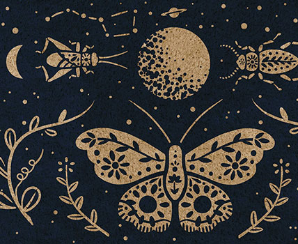 Moonmoth Design -Clothing accessories, Apparel, Glassware