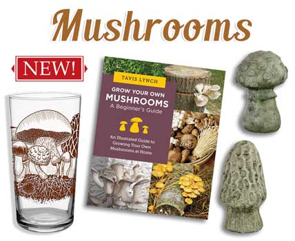 Mushroom Designs! Shop Our Mushroom Collection!