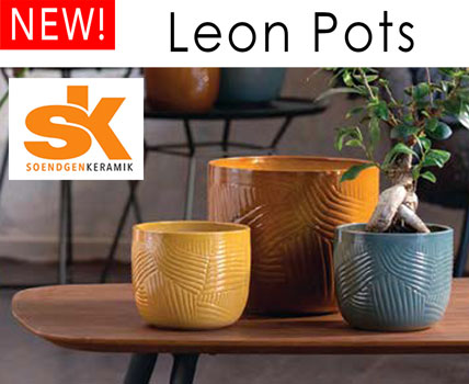 SK Leon Pots and More- Wholesale