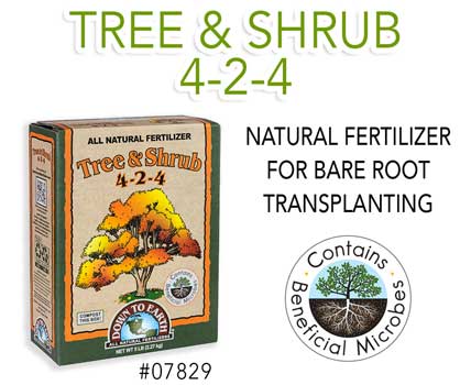 https://www.downtoearthdistributors.com/sites/default/files/inline-images/organic-fertilizer-for-trees-and-shrubs-2024-2_0.jpg