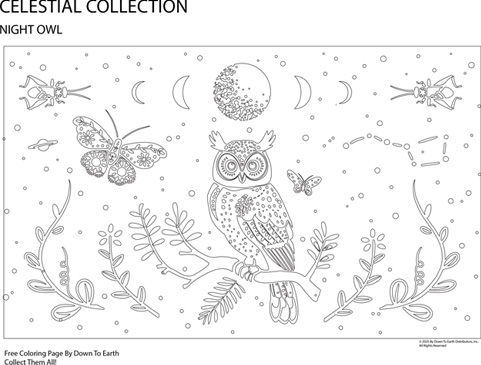OWL - FREE COLORING PAGE