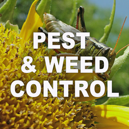Pest Control and Weed Control Supplies - Garden Supplies