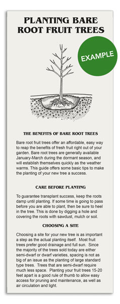 How-to -Planting Bare Root Trees -Down To Earth Handout, Eugene, Oregon