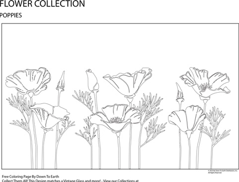 POPPY - FREE COLORING PAGE