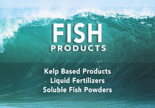 Fish Fertilizer - Liquid Fish Fertilizer-Powdered Fish Products and Soluble Fish Powders 2021- image