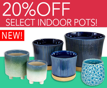 sale! indoor pots