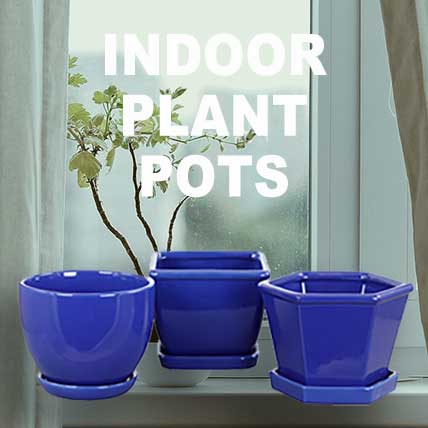 Indoor Pottery -plant pots for Succulents and Cacti!