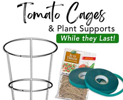 TOMATO CAGES  - Garden Center Supplies 2024