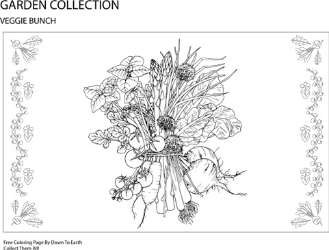 Free Coloring page - Vegetables