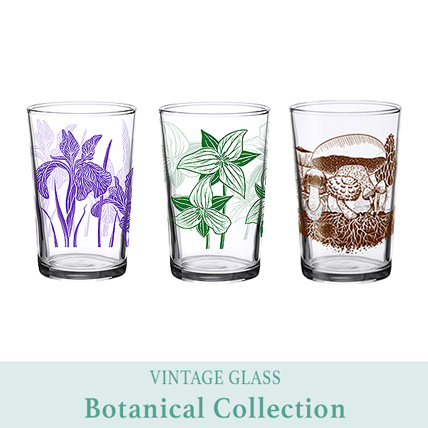 Vintage glass botanical designs set, collectible drinking glass