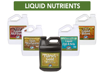 wholesale organic liquid nutrients for growing plants