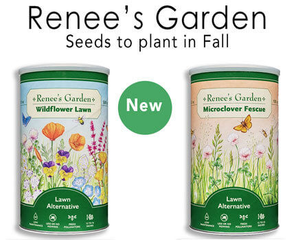 Wholesale Seeds- Renee's Scatter Seeds