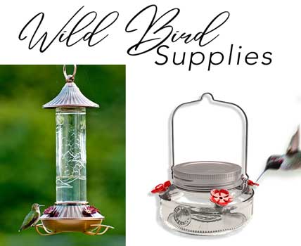 Wild Bird Supplies - Wholesale Hummingbird feeders