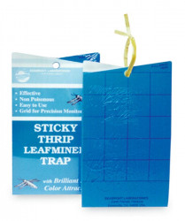Sticky Thrips/leafmnr Trap Pk5