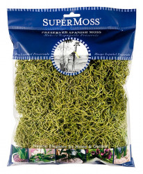 Spanish Moss 4oz Chartreuse
