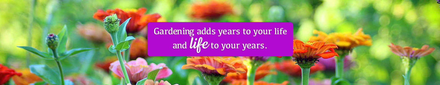 gardening adds years to your life and life to your years - quote